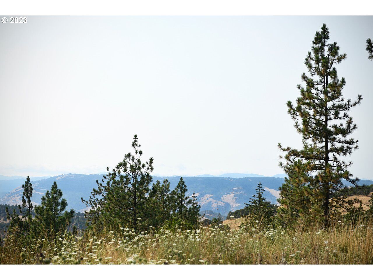 Property Photo:  1983 Seven Mile High Rd  OR 97058 