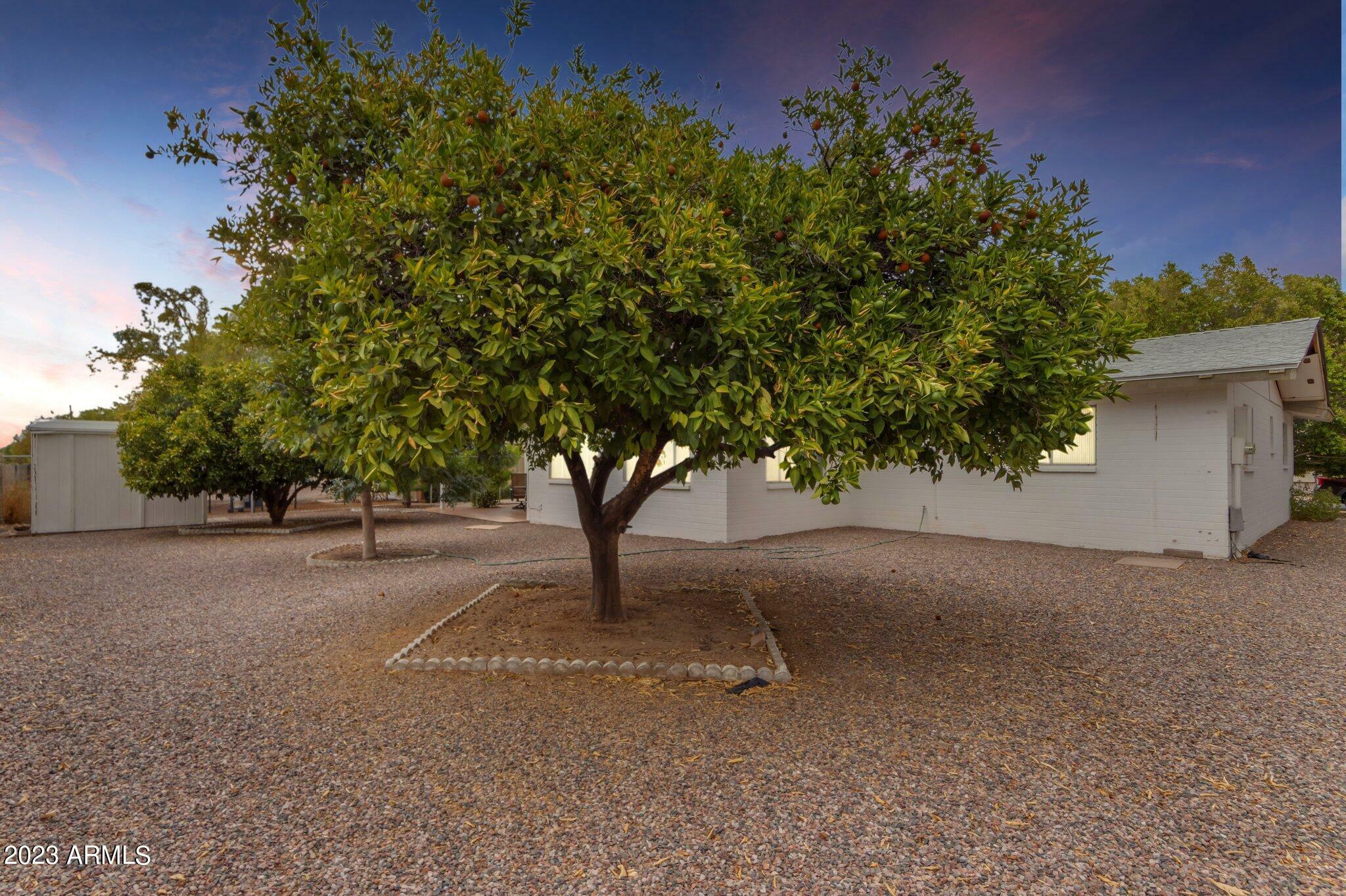 Property Photo:  6043 E Ellis Street  AZ 85205 