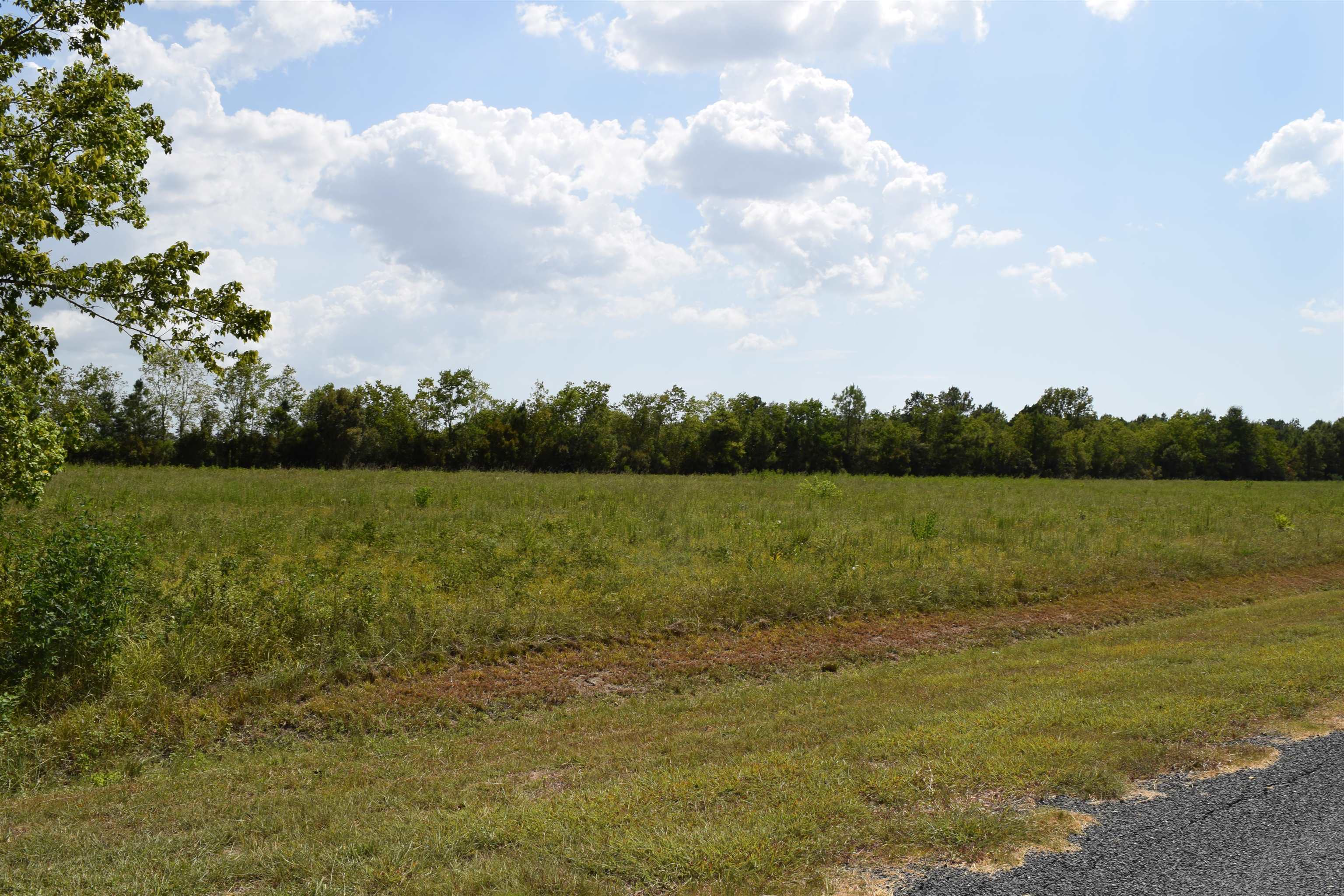 Property Photo:  002 Sherwood Blair Rd  TX 77560 