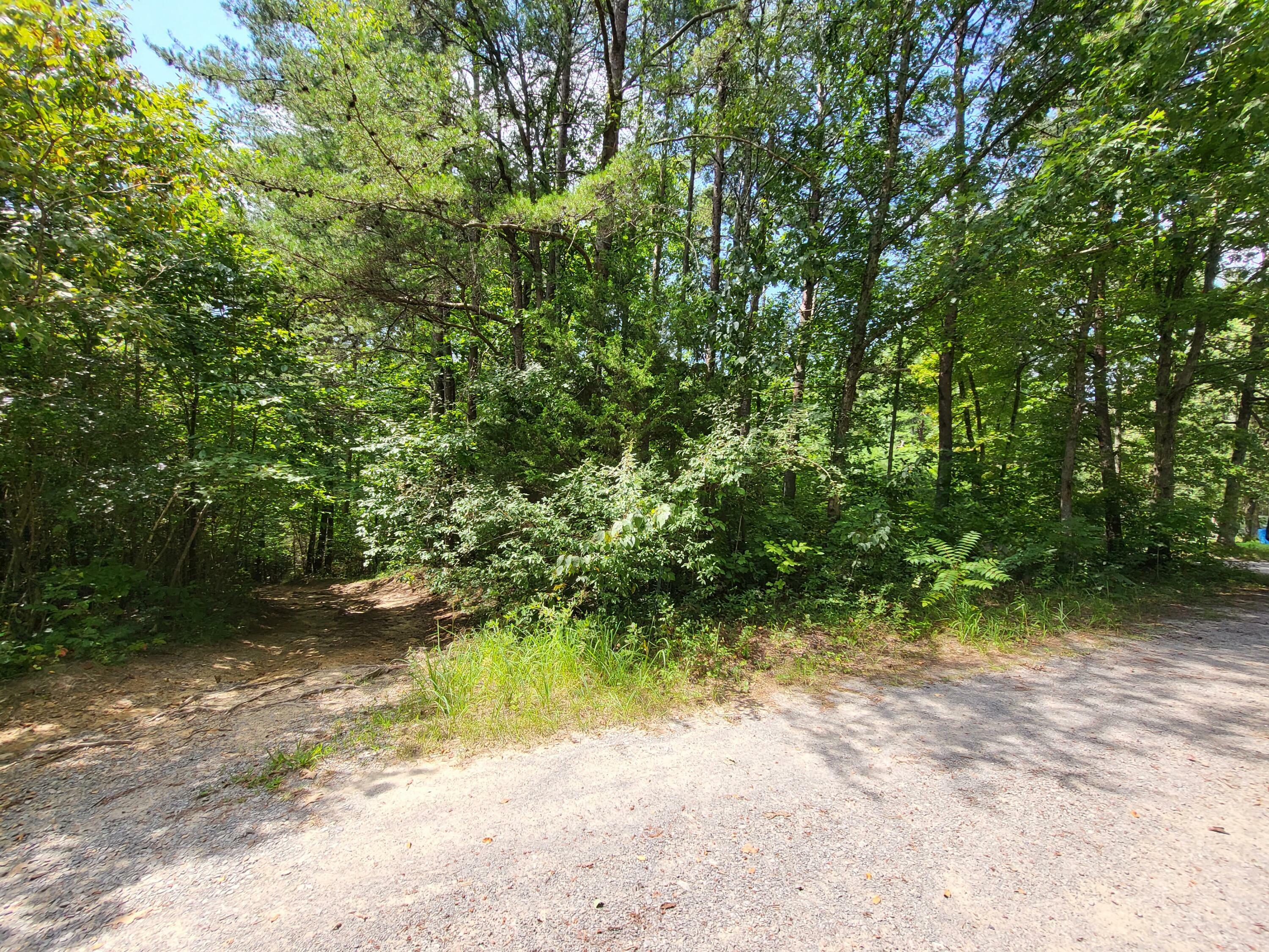 Property Photo:  0 S Bowater Rd 34.5 Ac  TN 37367 