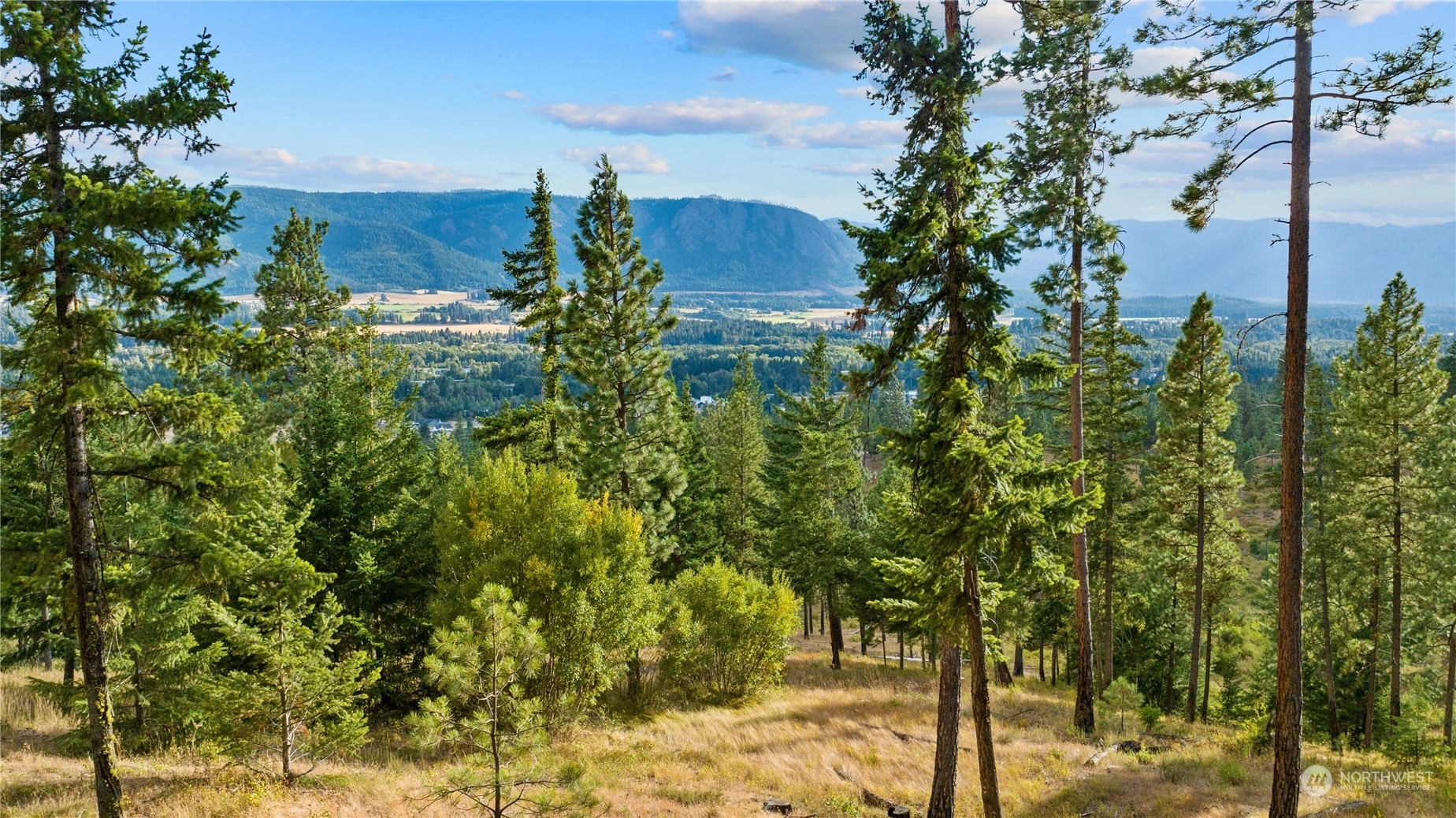 Property Photo:  0 Lot 7 Game Trail Road  WA 98922 