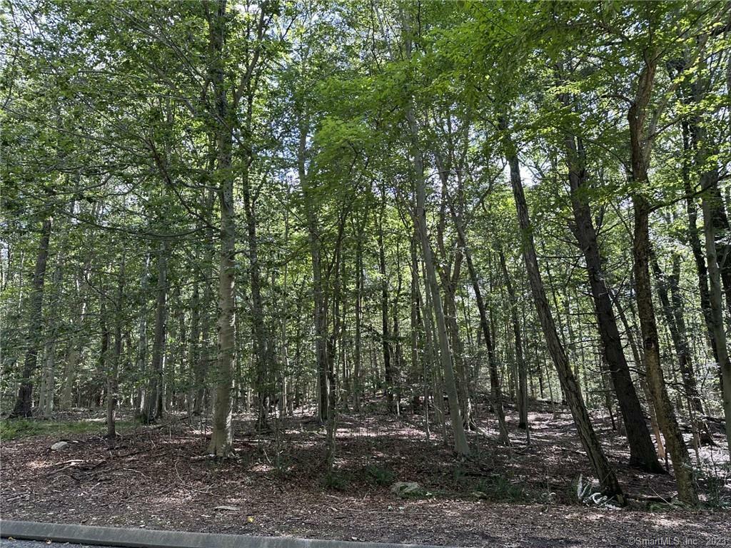 Property Photo:  Lot #13 South Brook Drive  CT 06904 