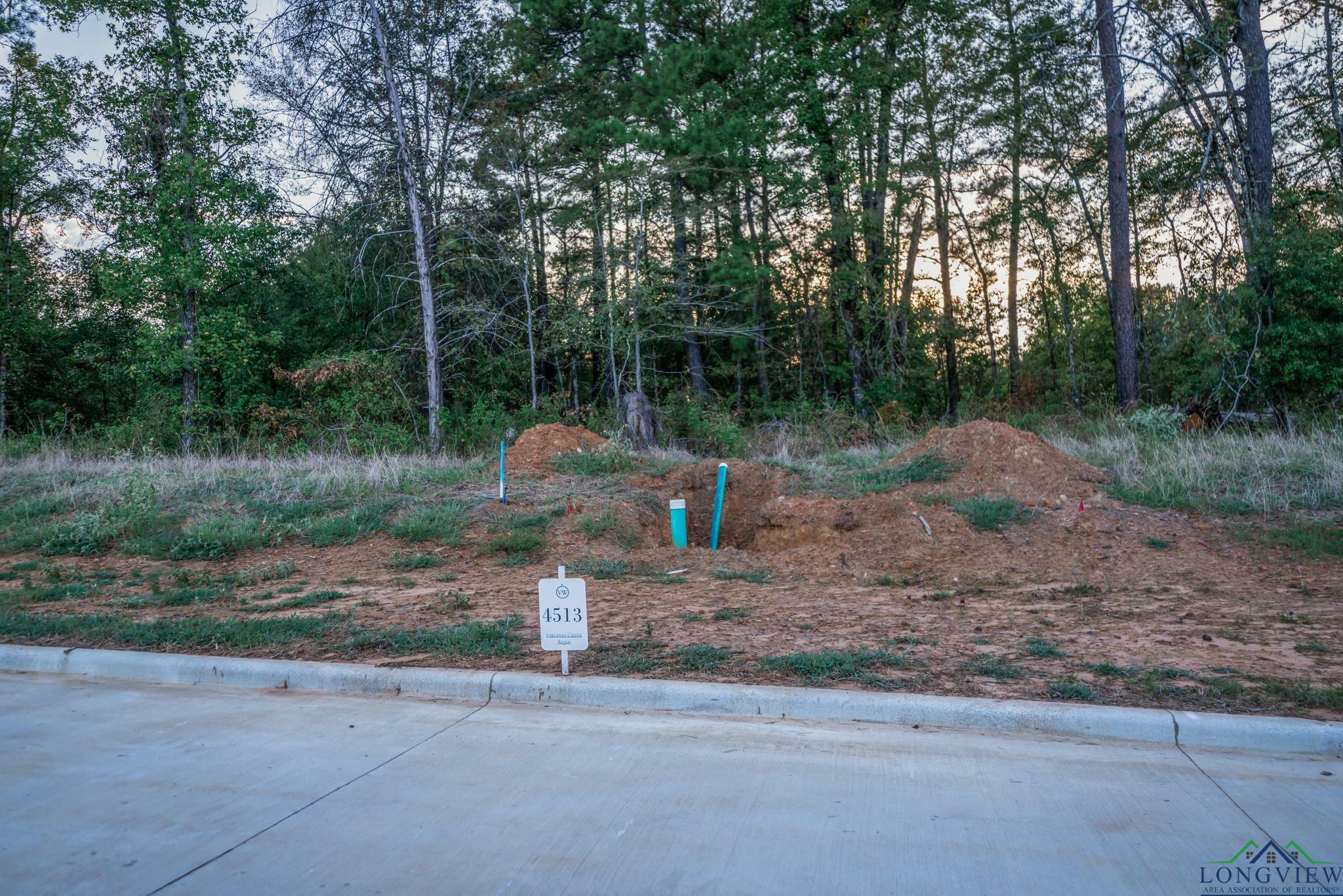 Property Photo:  4513 Virginia Creek Rd.  TX 75604 