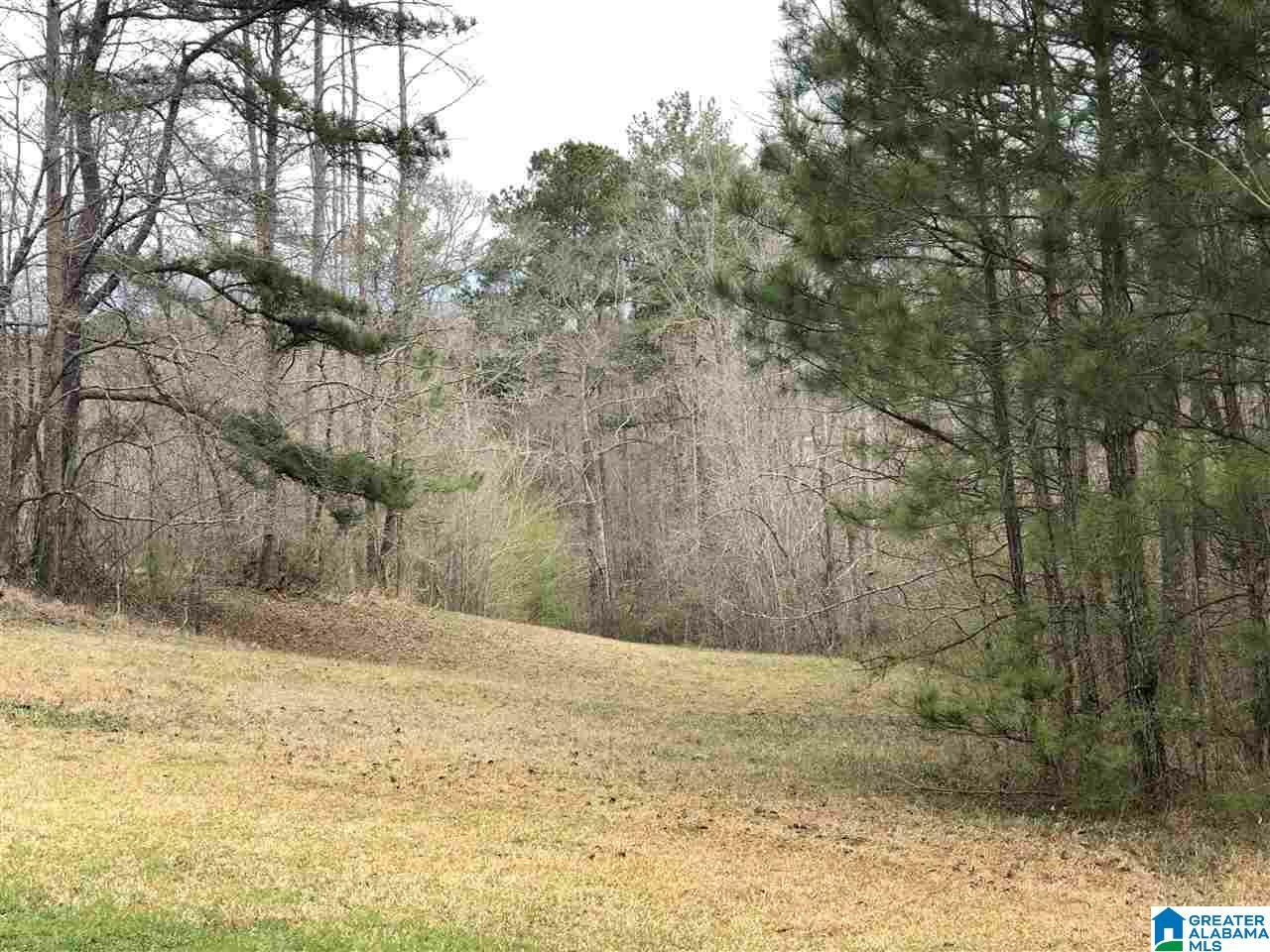 Property Photo:  1715 Cook Springs Road 1  AL 35125 