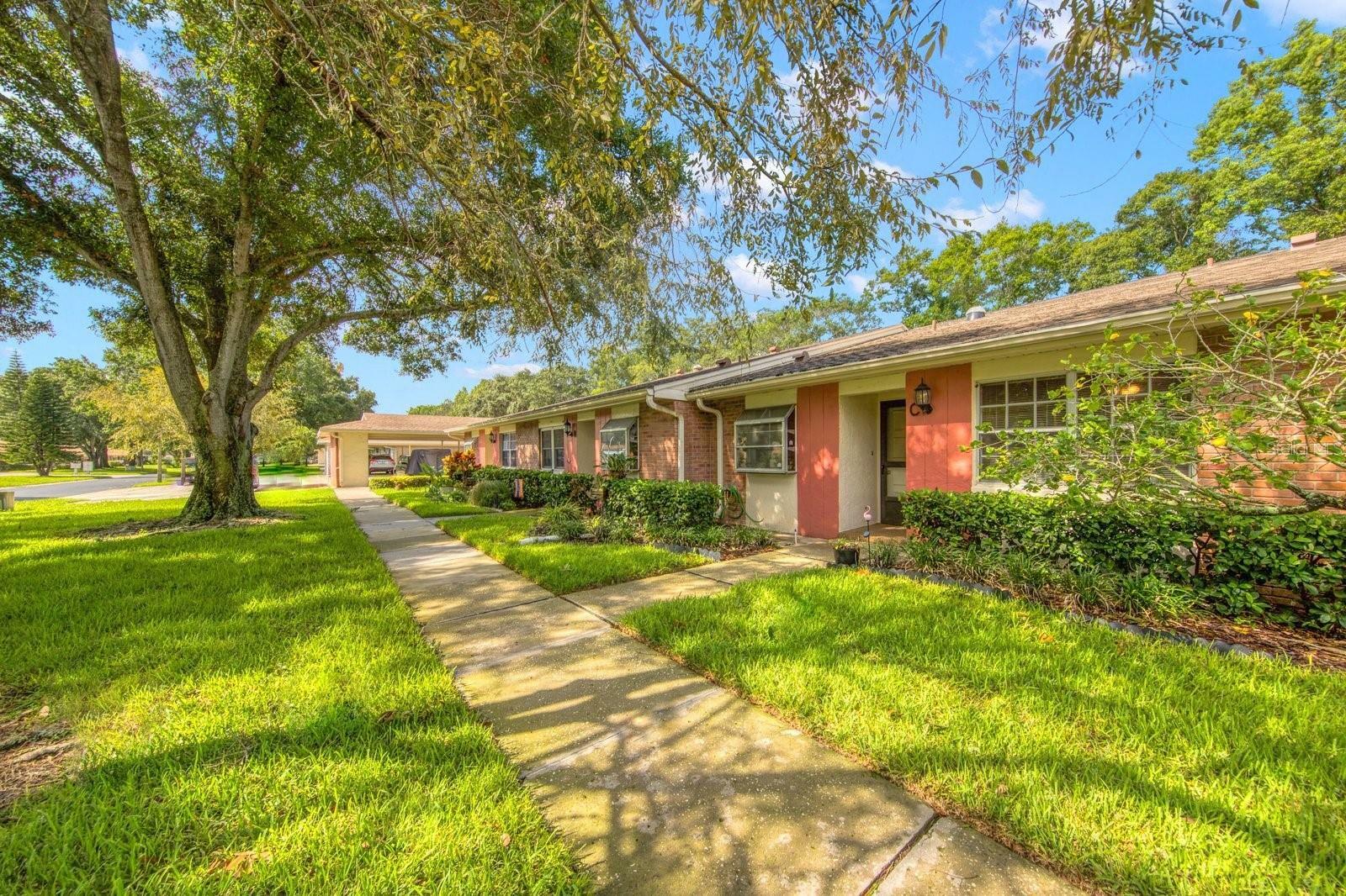 Property Photo: 2264 Lark Circle W C FL 34684