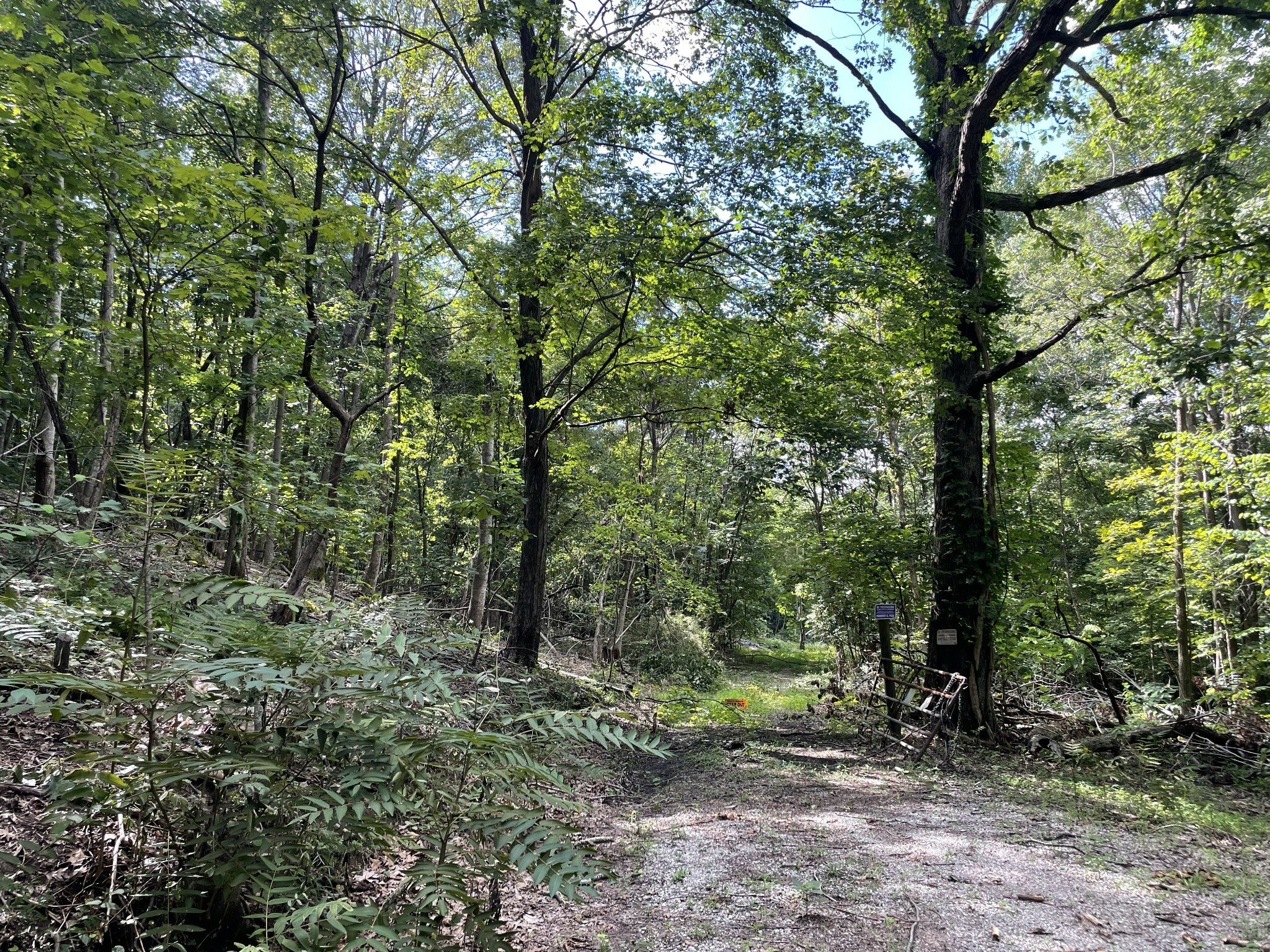 Property Photo:  144 Old Mine Ln  TN 37324 