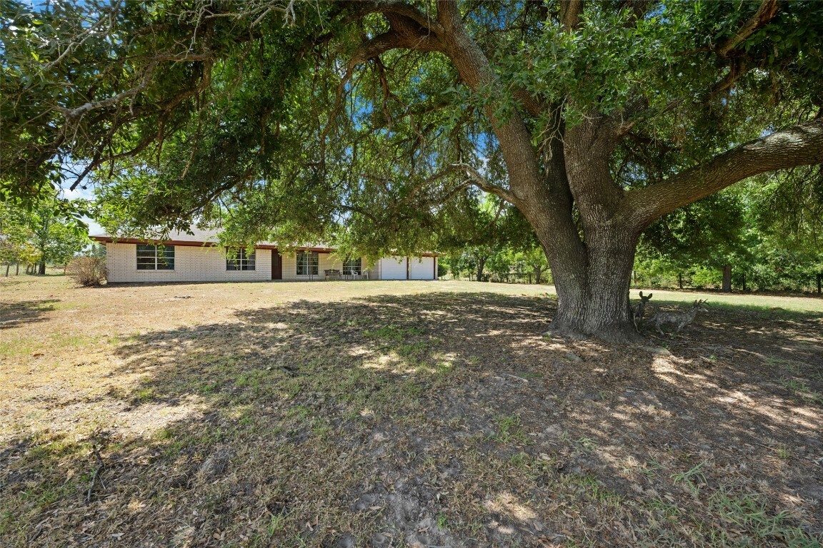 Property Photo:  1768 County Road 449  TX 76577 