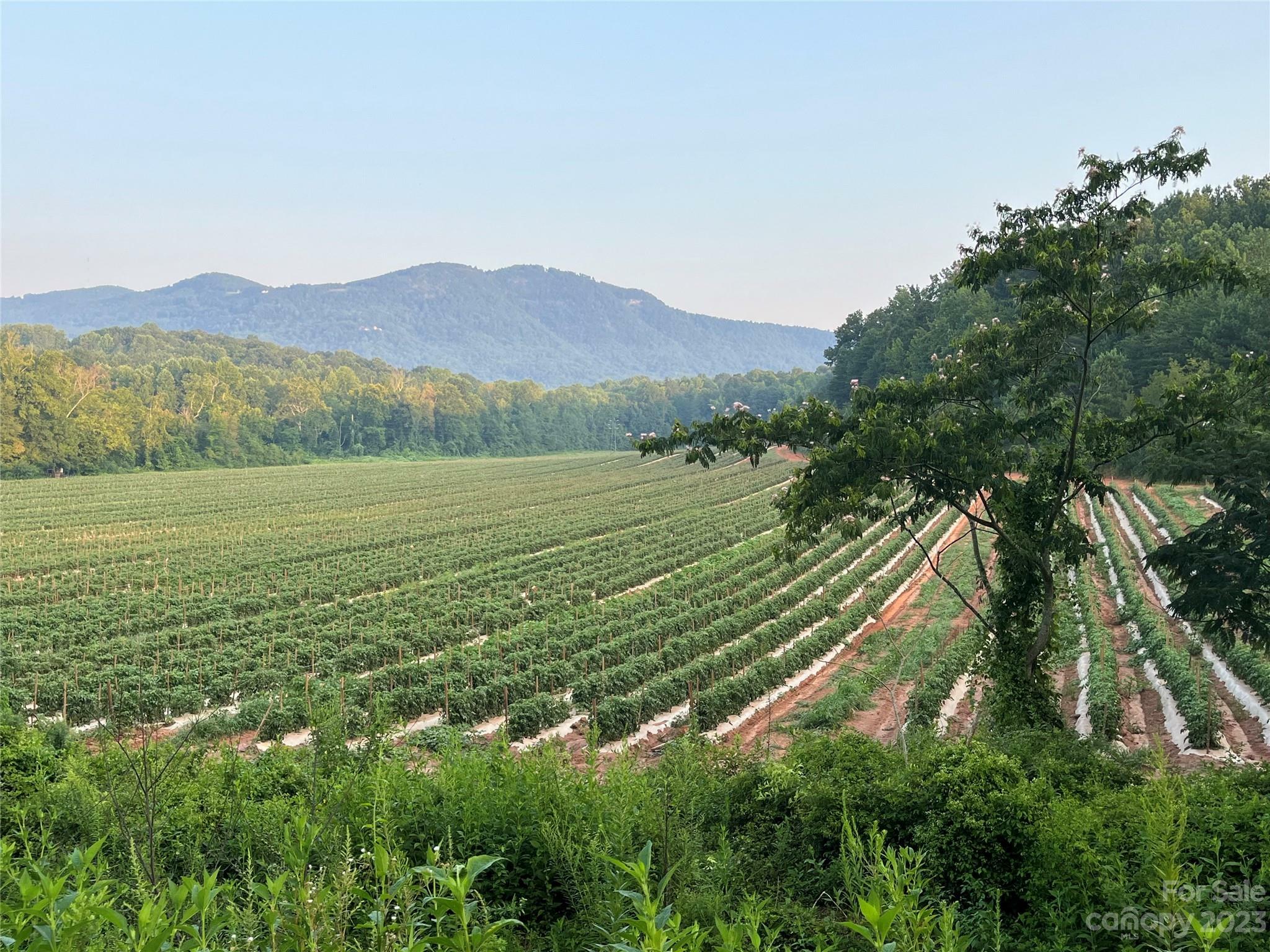 Property Photo:  0 Fox Mountain Road 2  NC 28722 