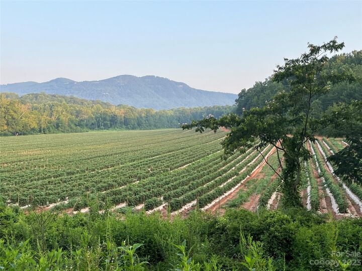 Property Photo: 0 Fox Mountain Road 2 NC 28722