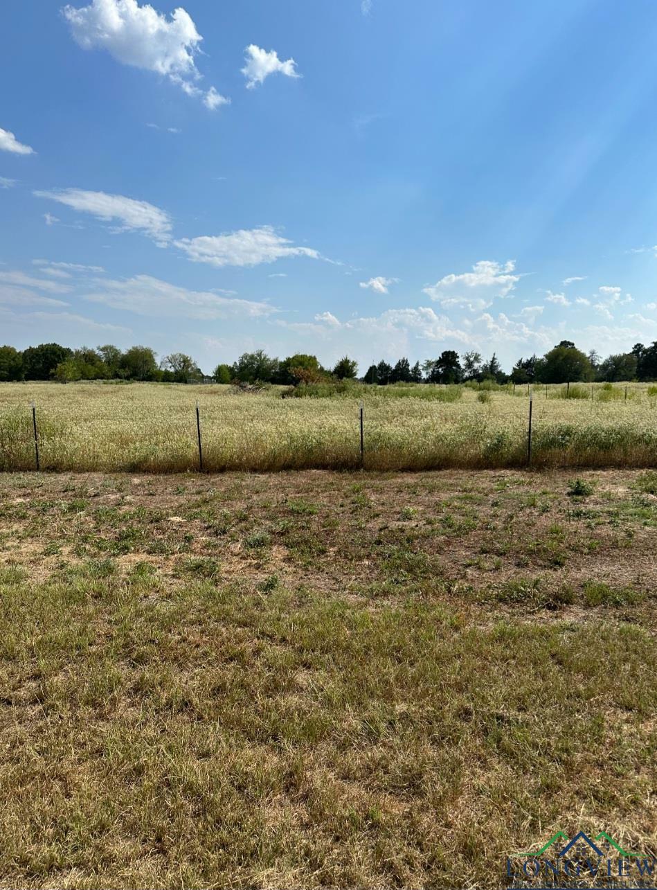 Property Photo:  Tbd Ginger Rd.  TX 75644 