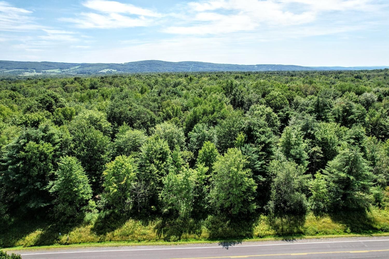 MLS411241 315 West Dryden Road, Freeville, NY 13068