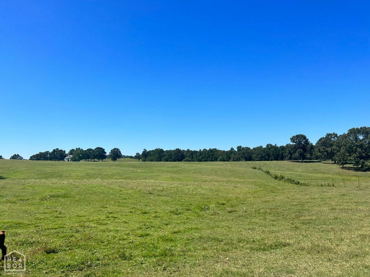 Property Photo:  40 Acres Lawrence 351 Road  AR 72572 
