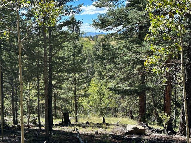 Property Photo: 1233 Yorktown Road CO 80813