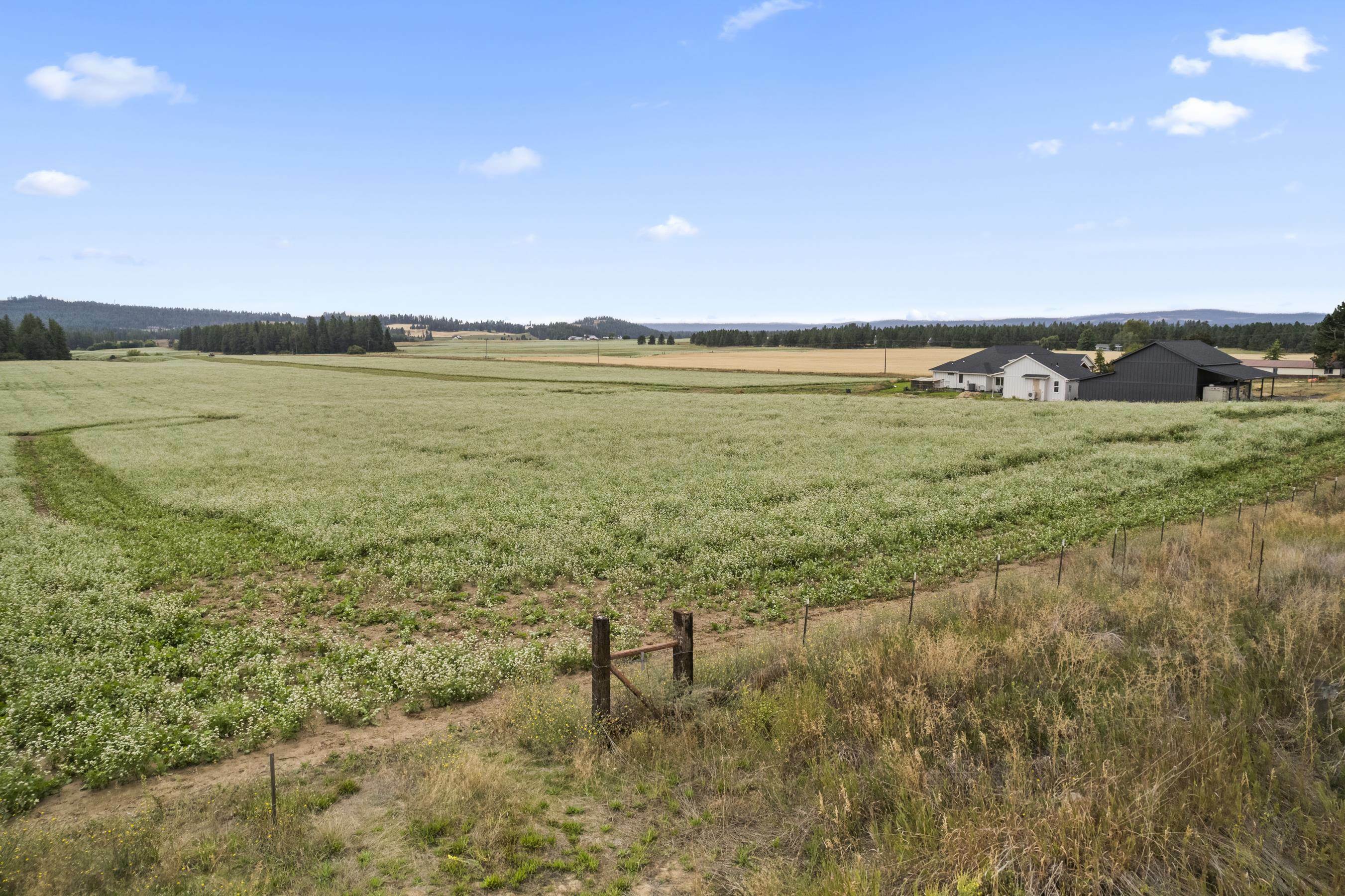 Property Photo:  7302 E Big Meadows Rd  WA 99003 