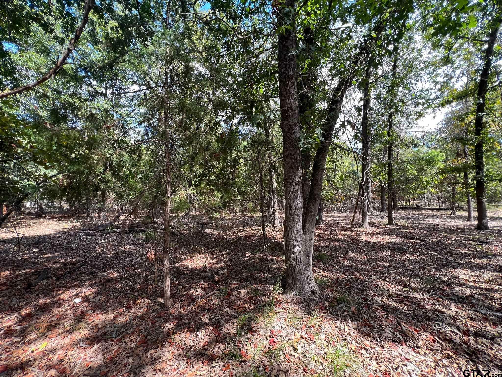 Property Photo:  Tbd W King Chester Ct.  TX 75480 