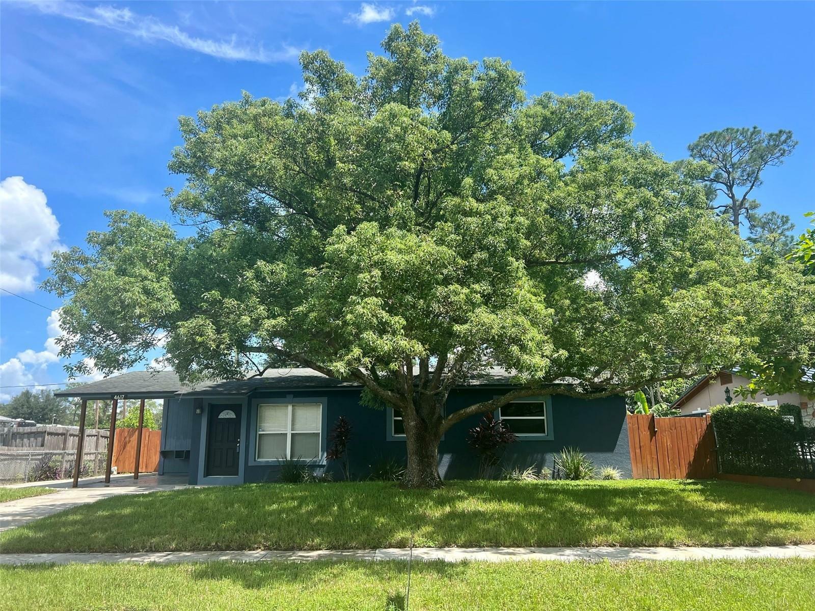 Property Photo:  4617 Millcove Drive  FL 32812 