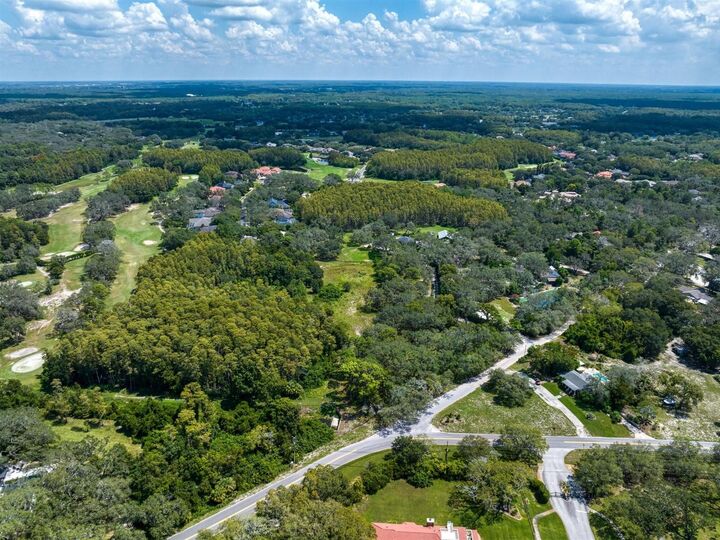 Property Photo:  Old East Lake Road  FL 34688 