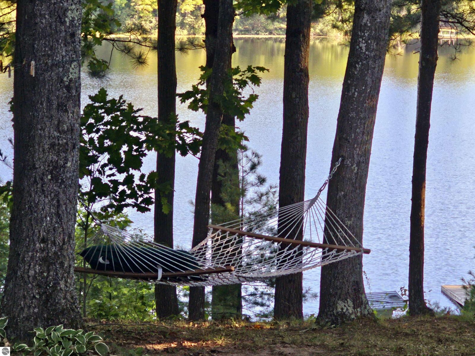 Property Photo: 21095 Northcrest Drive MI 49688