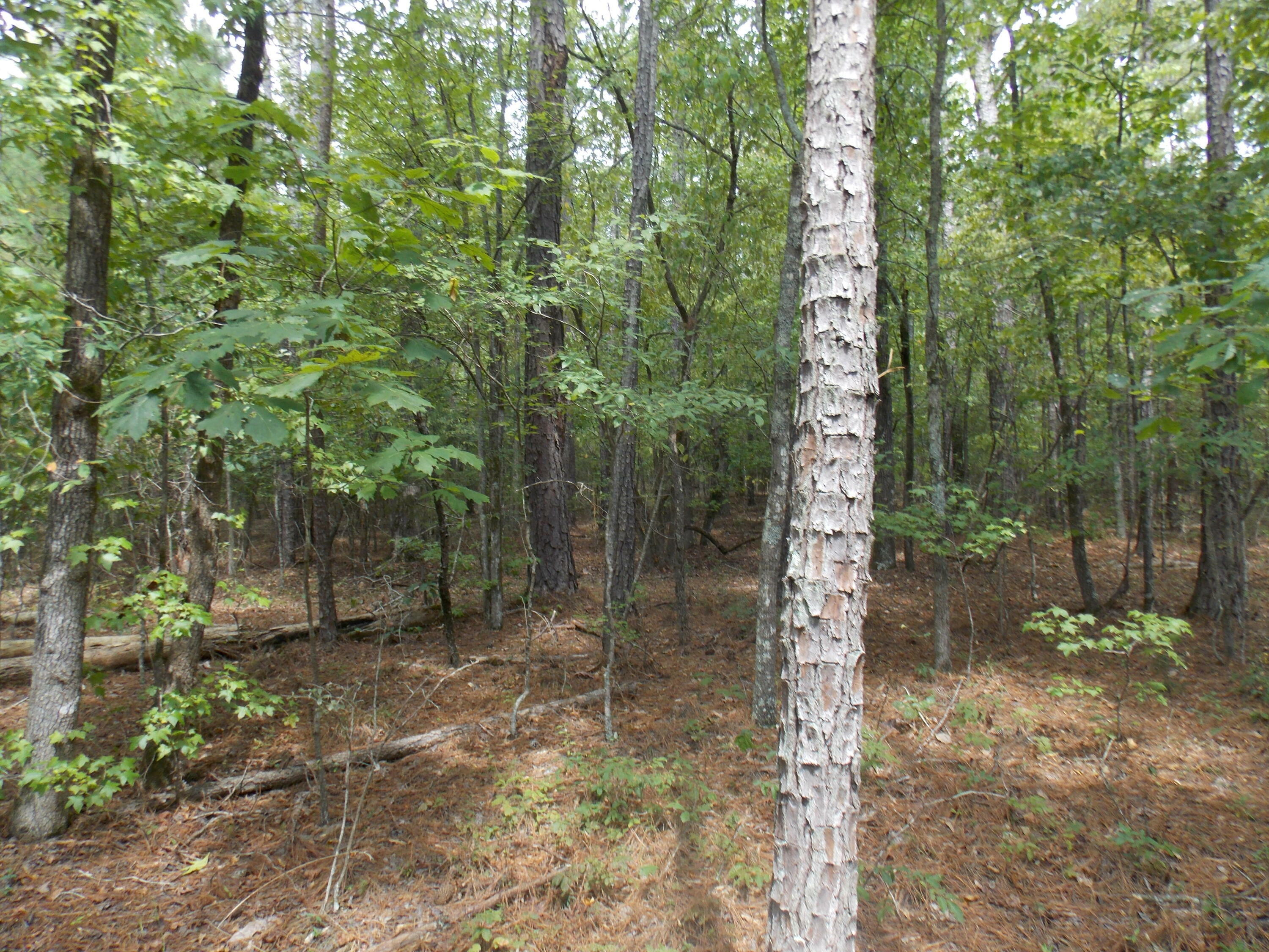 Property Photo:  11 Doe Run  GA 30817 