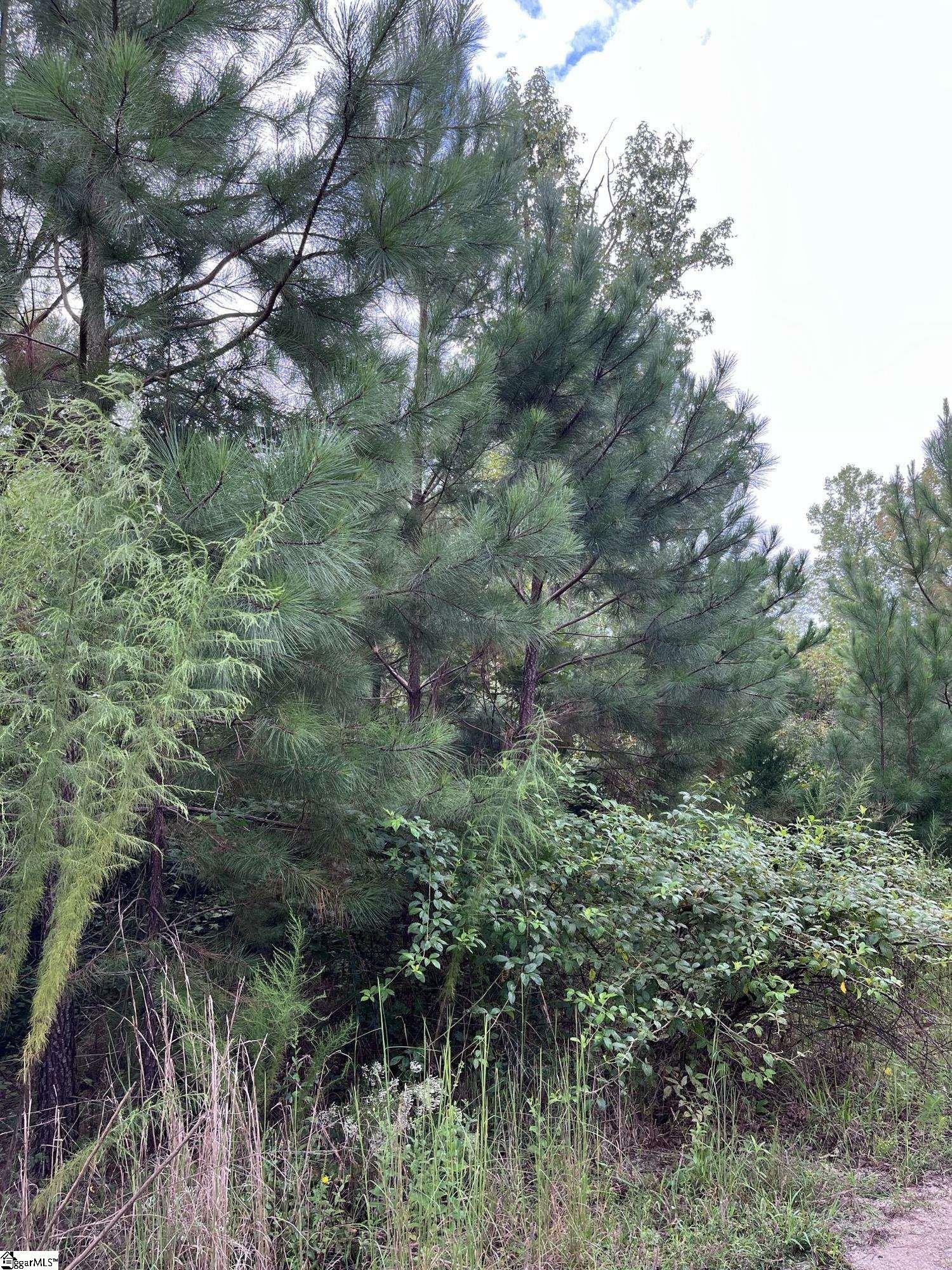 Property Photo:  0 Tugaloo Road  SC 29643 