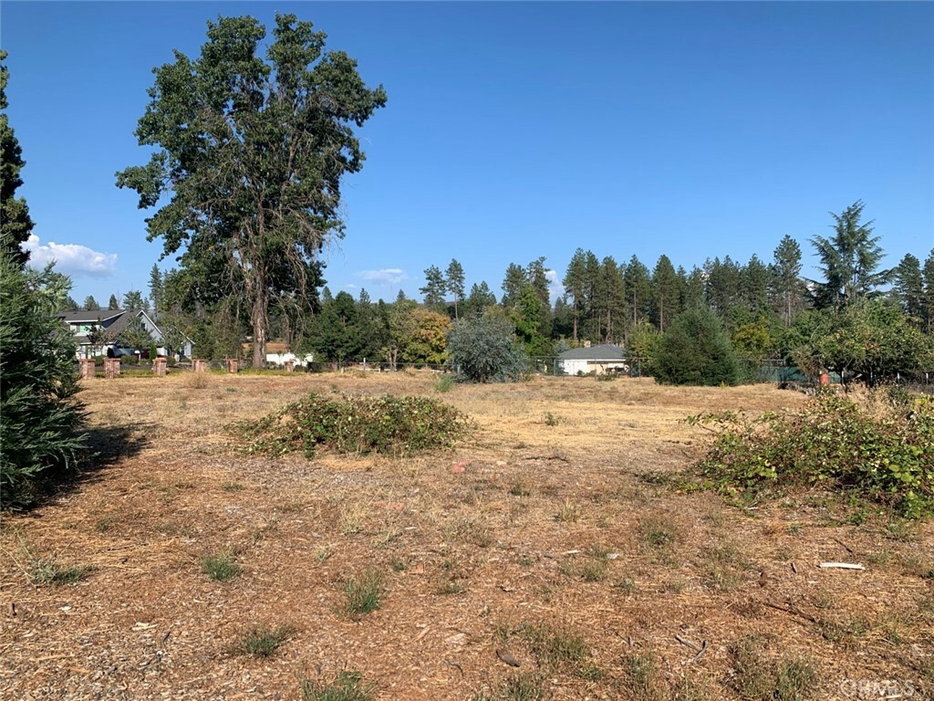 Property Photo:  5860 Nielsen Drive  CA 95969 