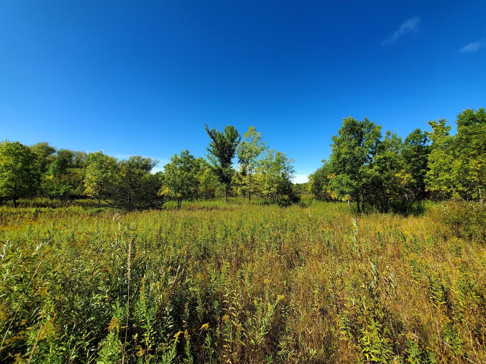 Property Photo:  Xxx Norman Avenue N  MN 56329 