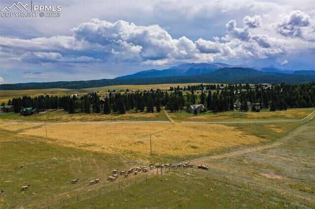 Property Photo:  195 Joshua Road  CO 80814 