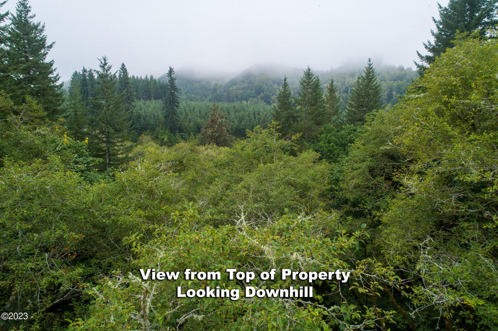 Property Photo: Tl 1200 Crystal Creek Loop OR 97391