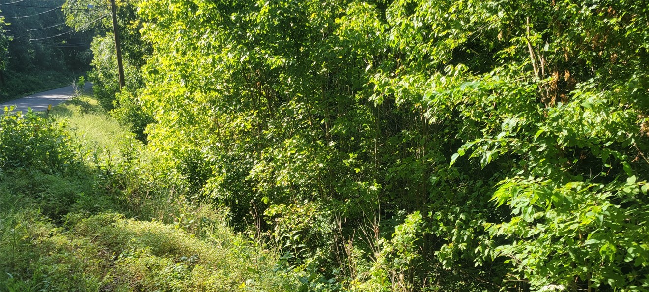 Property Photo: 118 Hawk Drive AR 72631