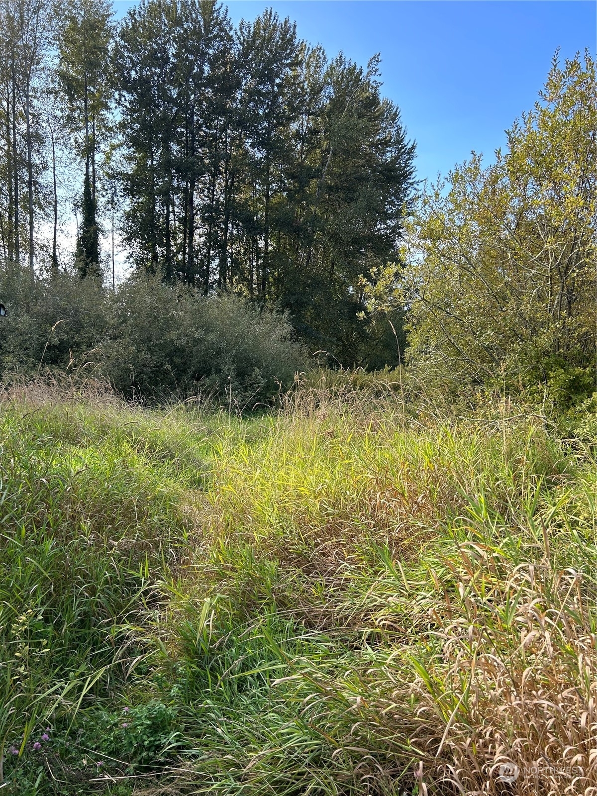 Property Photo:  2202 Hartford Drive  WA 98258 