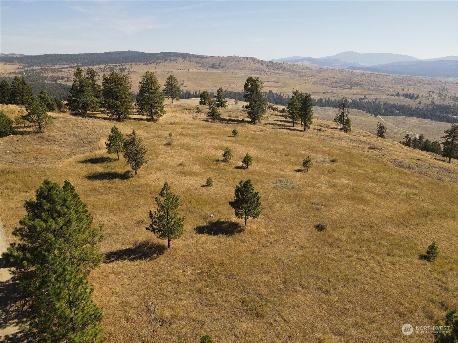 Property Photo:  0 Tbd Blue Grouse Road  WA 98844 
