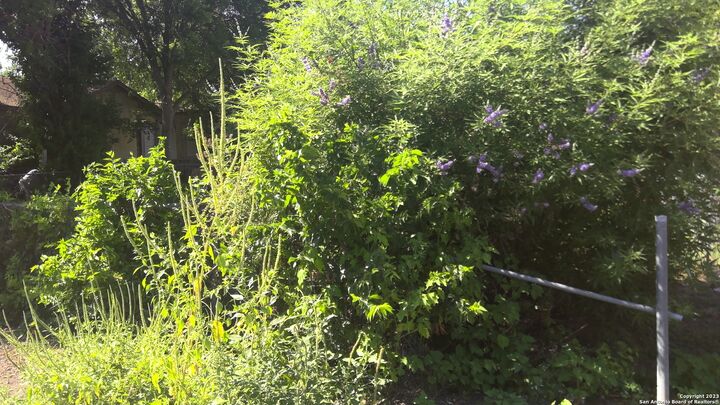 Property Photo: 112 Del Valle Alley TX 78207