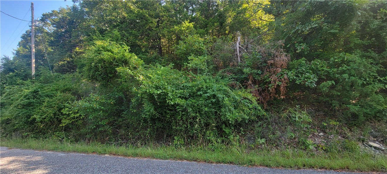 Property Photo: 52 Park Lane AR 72631