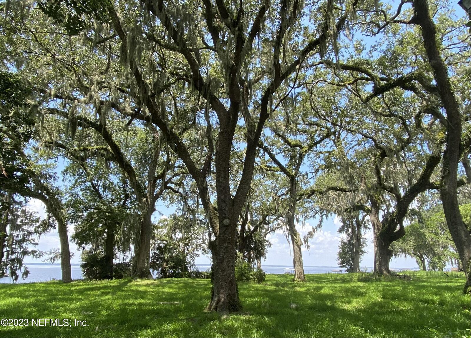 Property Photo:  8544 Cathedral Oaks Place  FL 32217 