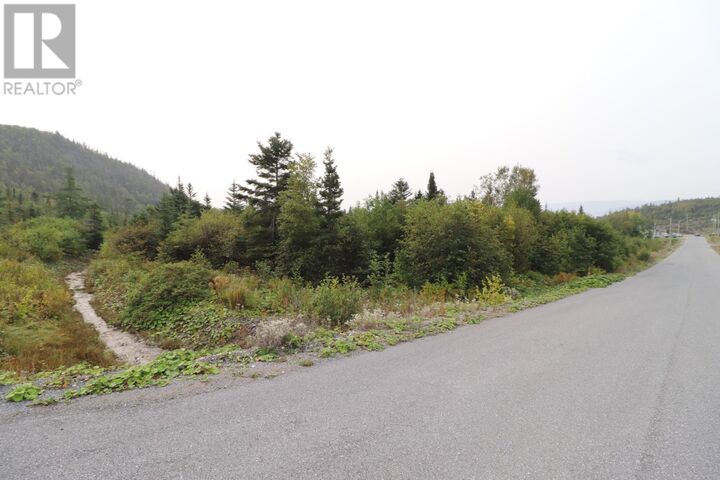 Property Photo:  12 Hollands Memorial Drive  NL A0K 3V0 