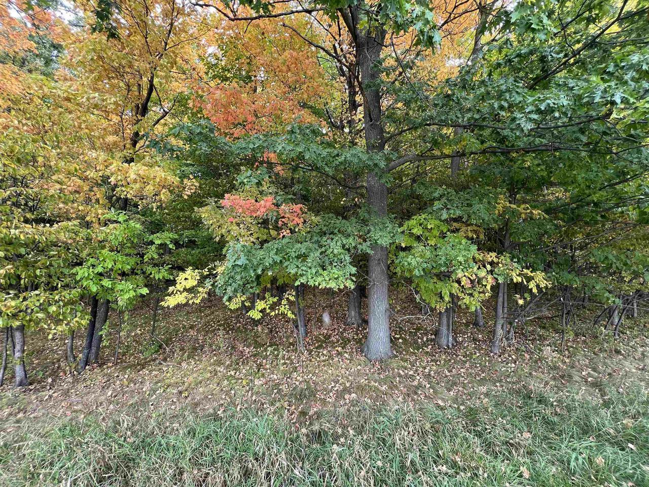 Property Photo:  Lot 1 County Road Y  WI 54449 