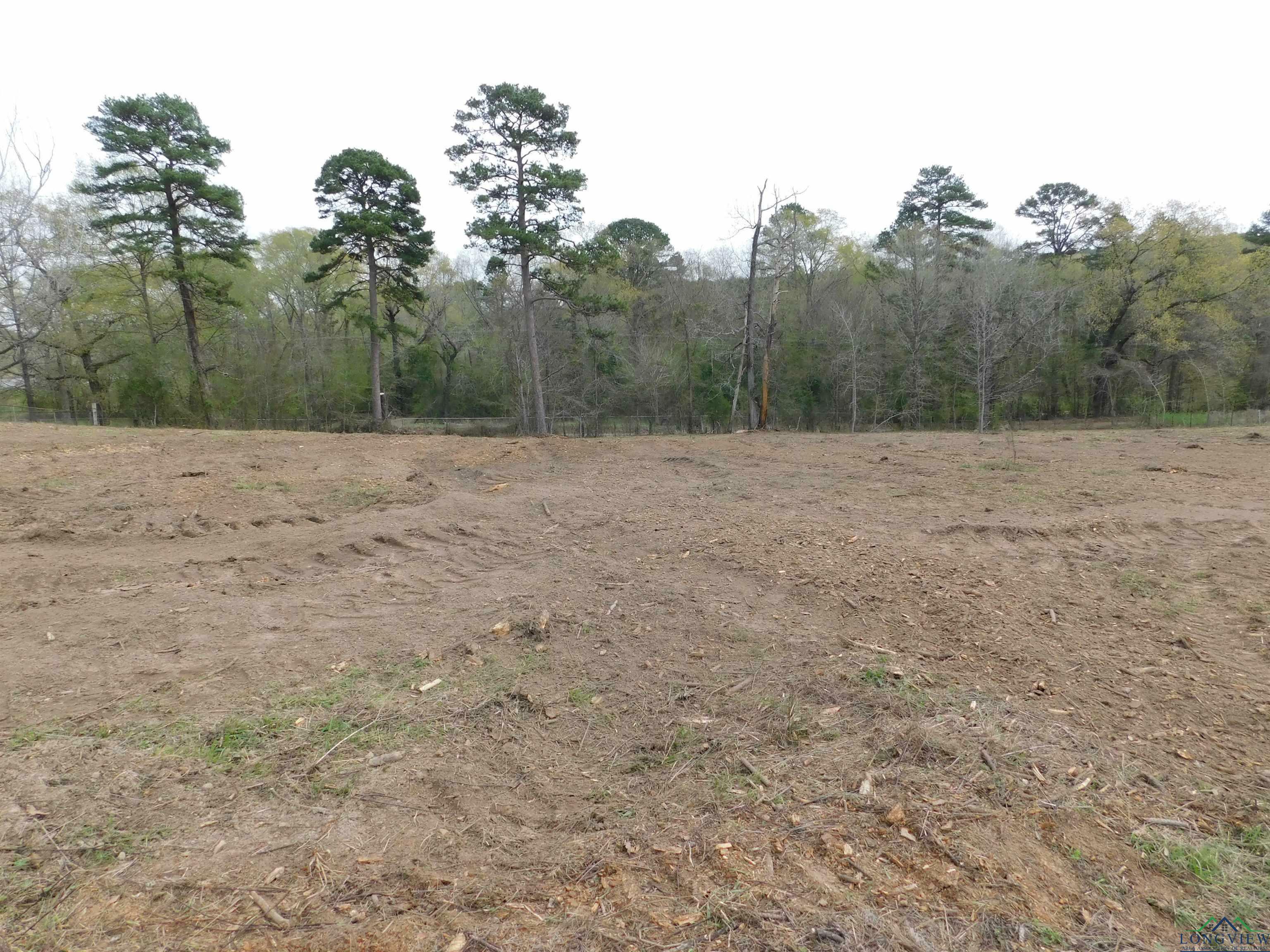 Property Photo:  Tbd Falcon View Dr  TX 75640 