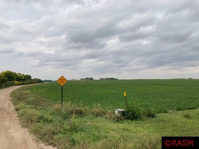 Property Photo:  Lot 2 135th Street  MN 56041 