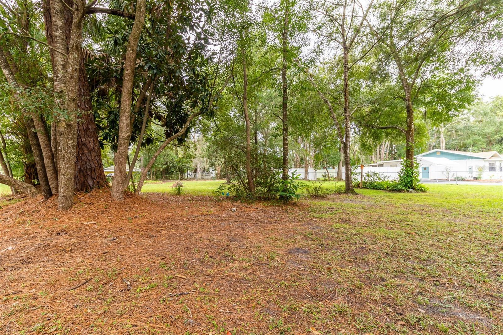 Property Photo:  686 NE 11th Street  FL 34428 