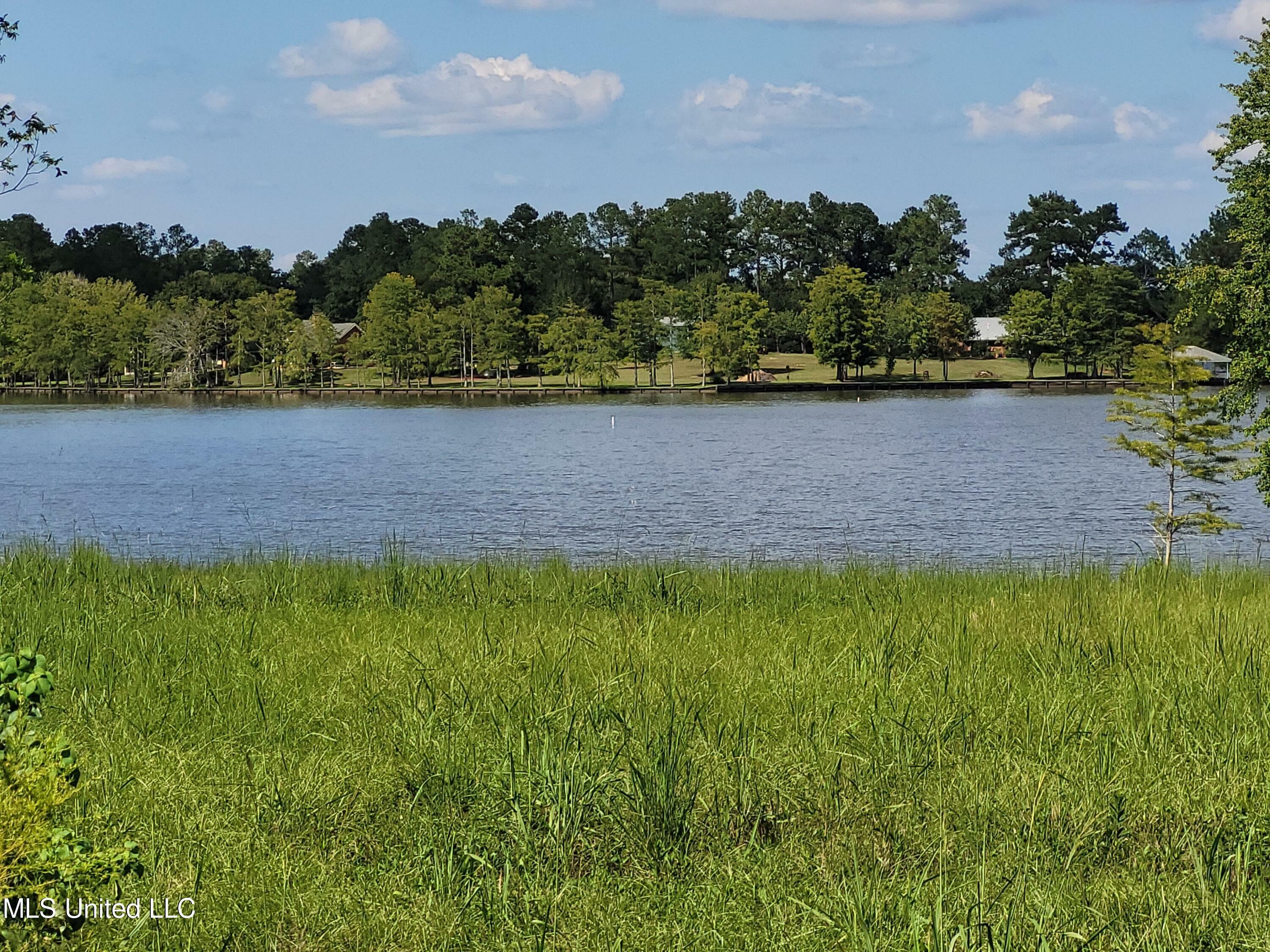 Property Photo:  Anchor Lake Road  MS 39426 