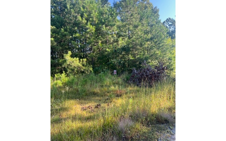 Property Photo:  Lt 50 White Pine Ridge  GA 30540 