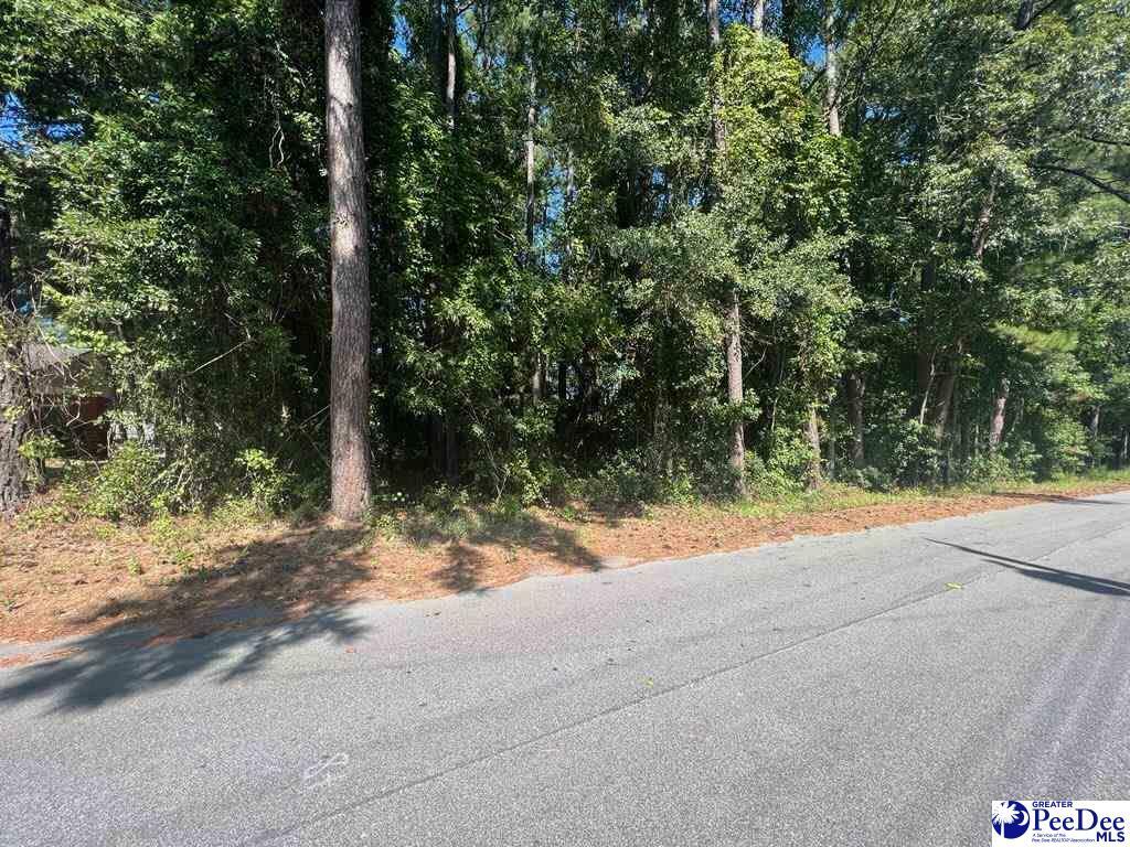 Property Photo:  3309 E Huntington Dr.  SC 29506 