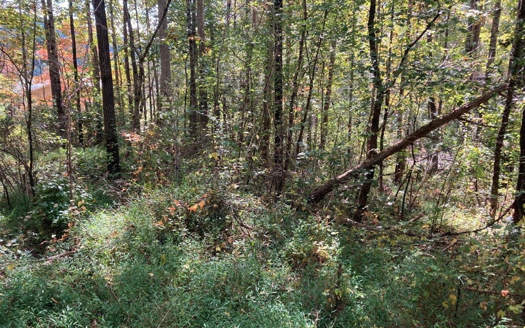 Property Photo:  11 Mountain View Trail  NC 28906 