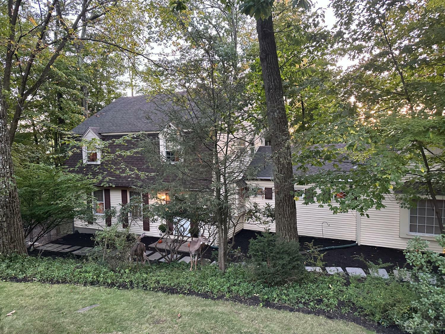 Property Photo:  19 Walsh Way  NJ 07950 