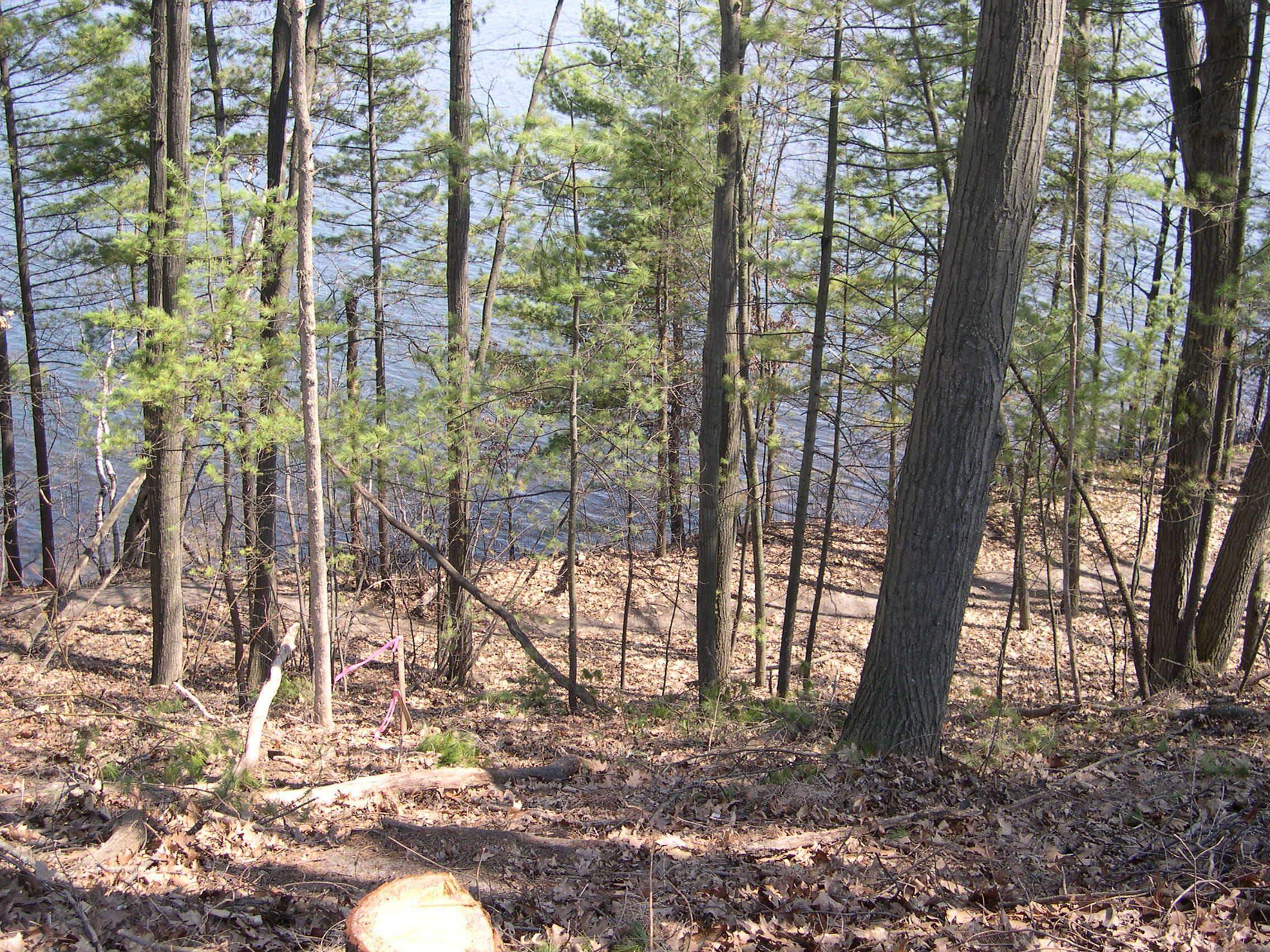 Property Photo: 1597 Edgewater Ridge MI 49684