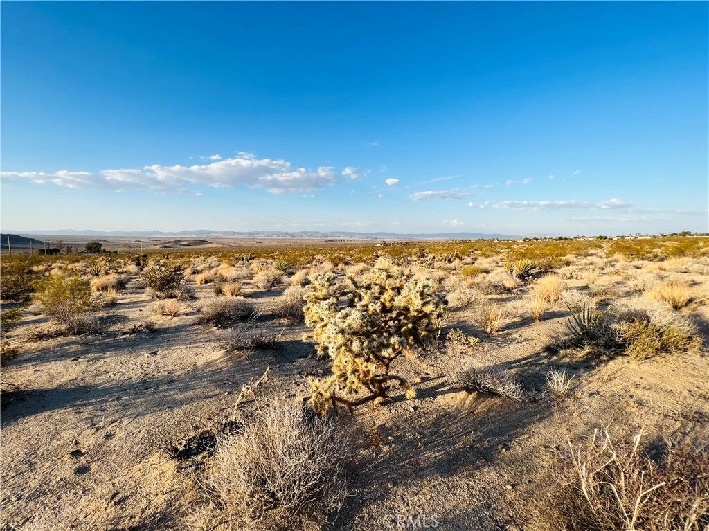 Property Photo:  123 Mantonya Road  CA 92277 