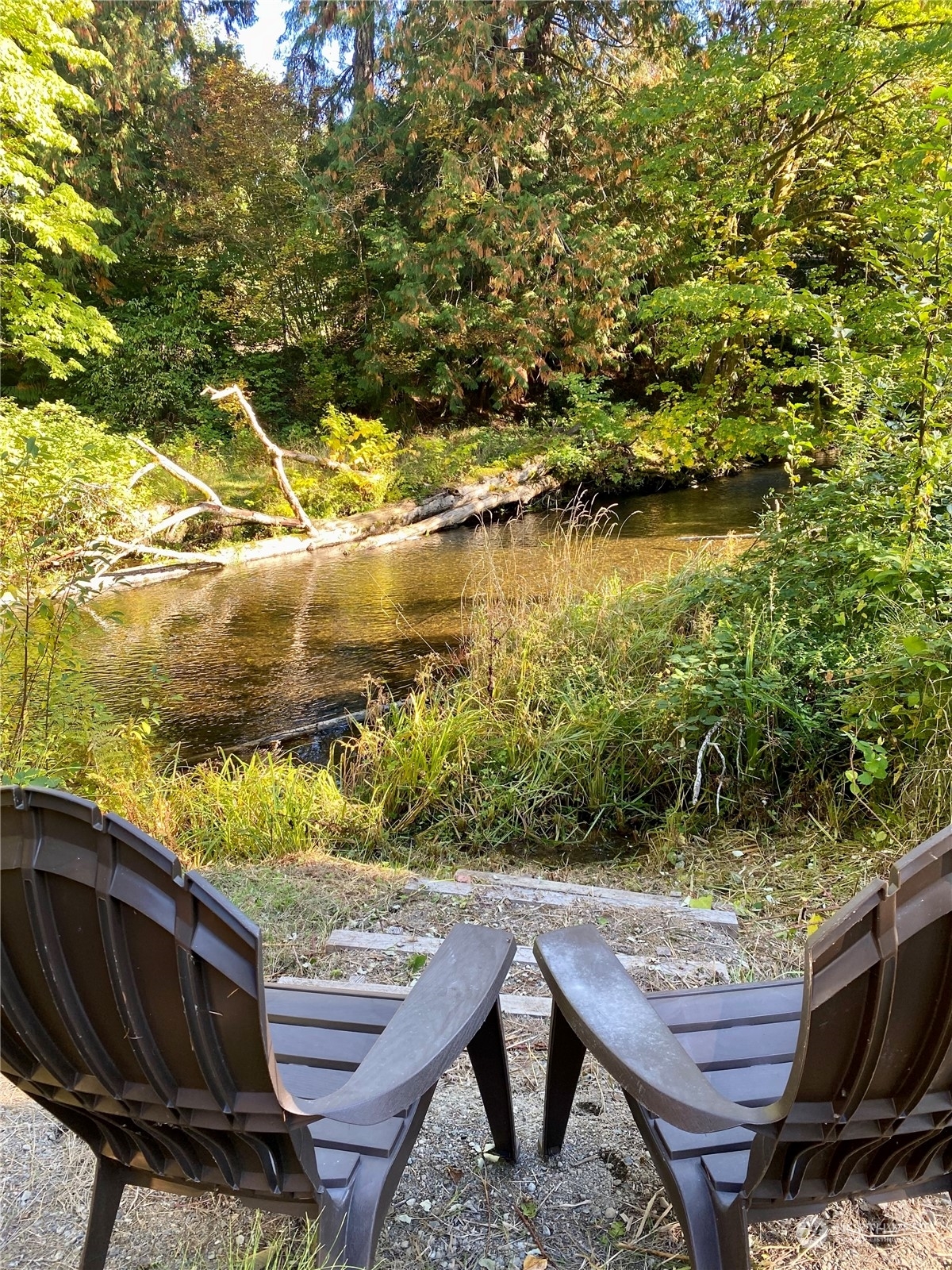 Property Photo: 311 E Sherwood Creek Road WA 98524