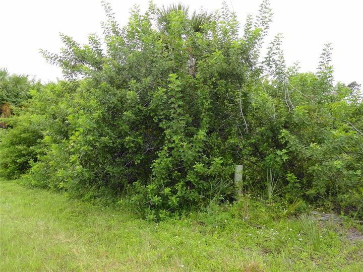 Property Photo:  257 Pembroke Drive  FL 33954 