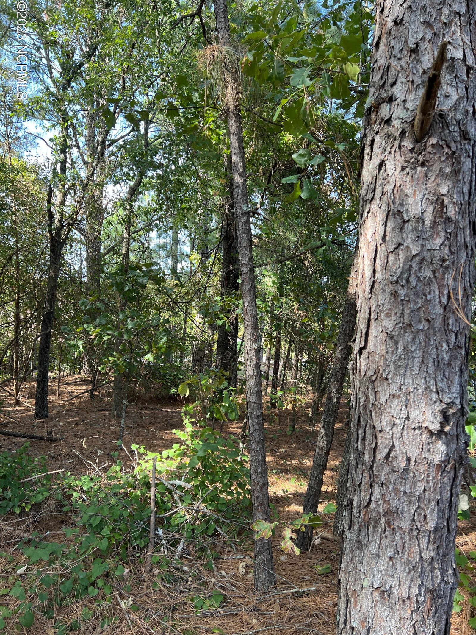 Property Photo: Tbd Starlit Lane Lot 178 NC 28374