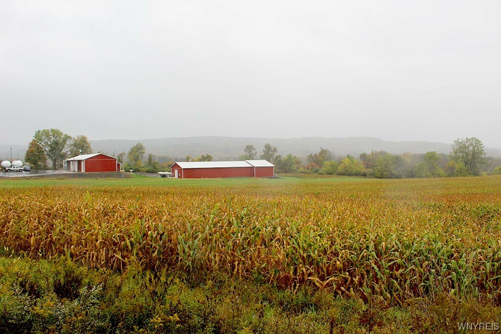 Property Photo:  Vl 1 Route 219  NY 14171 